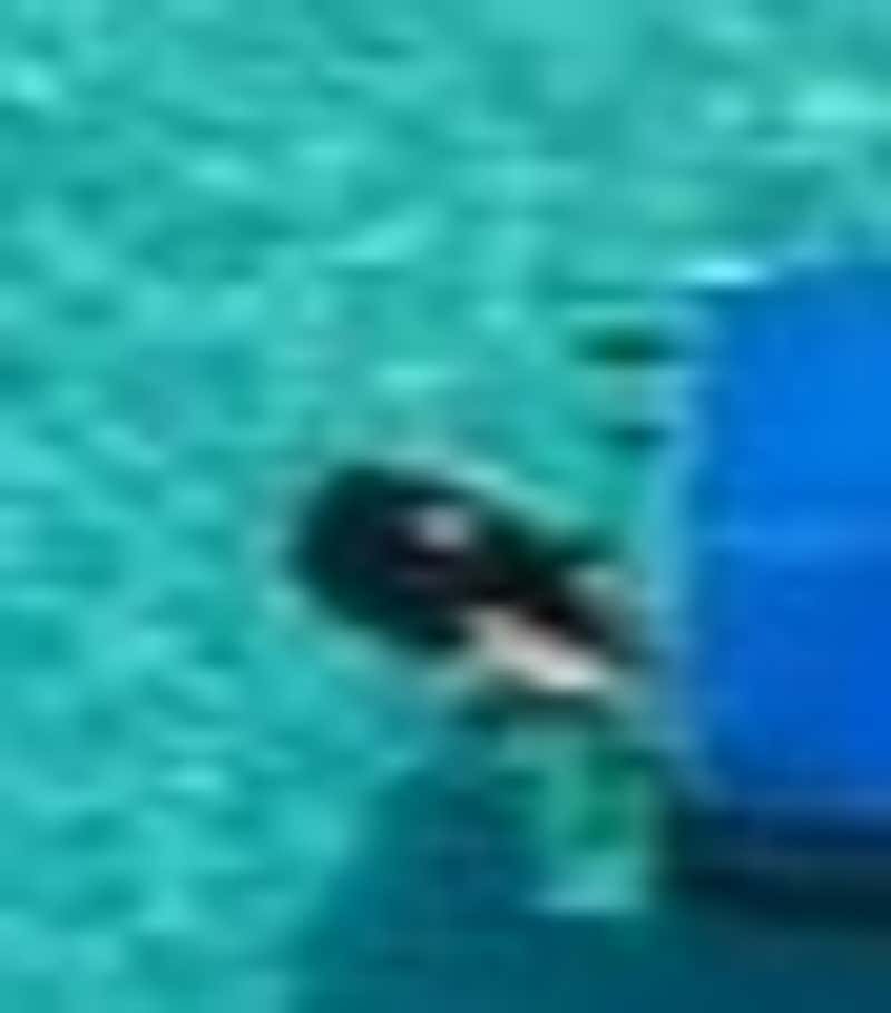 123 456